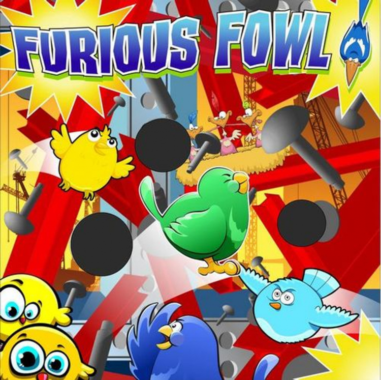 Furious Fowl Frame Game